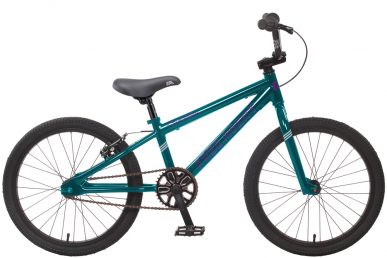 2021 Free Agent Champ bicycle in Teal