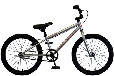2021 Free Agent Champ bicycle in Bright Silver
