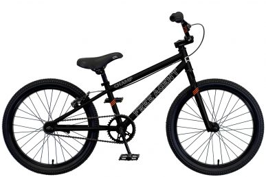 2024 Free Agent Champ bicycle in Black