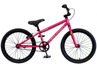 2024 Free Agent Champ bicycle in Pink